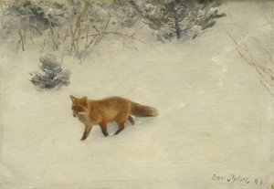 De vos, 1893