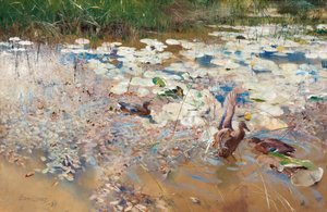 Wilde eenden, 1887 door Bruno Andreas Liljefors