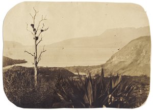 Meer en Mount Tarawera vanaf Te Wairoa, 1860