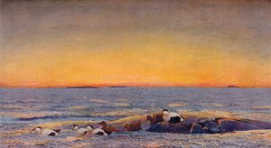 Zonsopgang, 1896 door Bruno Andreas Liljefors