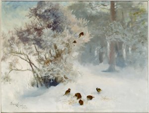 Vogels voeren in de sneeuw