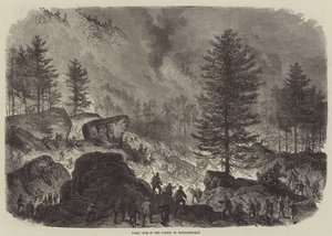 Grote Brand in het Bos van Fontainebleau