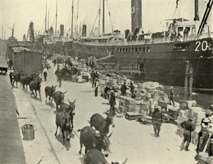 Troepenschepen in Port Tampa, Florida, VS, Spaans-Amerikaanse Oorlog, 10 juni 1898, 1899 door Burr McIntosh
