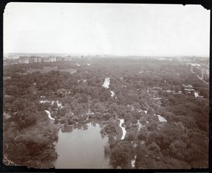 Uitzicht op Central Park vanaf het Plaza Hotel, 5th Avenue en 59th Street, New York, c.1907