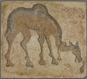 Mozaïekfragment met grazende kameel door Byzantine