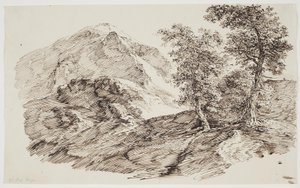 Berglandschap met bomen