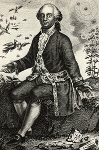 Portret van Georges-Louis Leclerc de Buffon (1707-1788), Franse natuurkundige en wiskundige, gravure