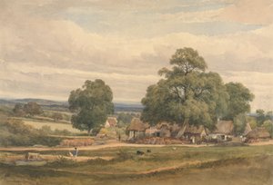 Emerey Down bij Lyndhurst, New Forest, Hants door C. John M. Whichelo