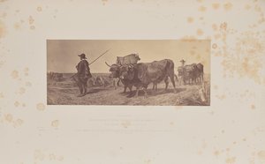 Terugkeren van werk, door R. Ansdell