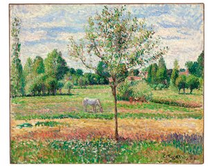 Weide met grijs paard, Eragny, 1893