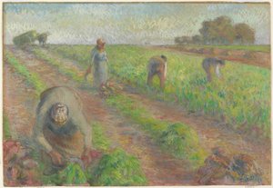 De Bietenoogst (La Récolte des betteraves), 1881