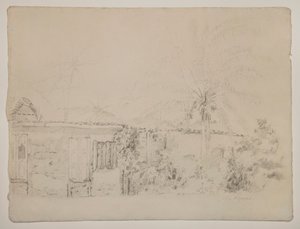 Huizen en palmbomen door Camille Pissarro