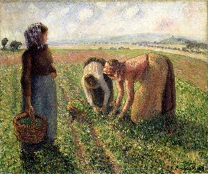 Erwtenoogst, Eragny, 1893 door Camille Jacob Pissarro