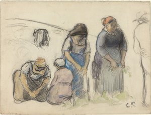 Erwtenoogsters [recto] door Camille Pissarro