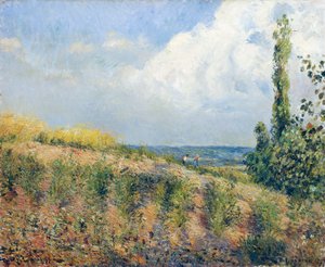 De naderende storm