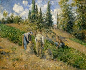 De Oogst, Pontoise door Camille Jacob Pissarro