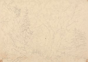 Holne Chase, 30 Mei 1833