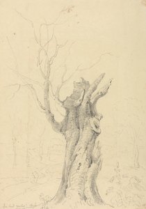 In Lord Yarborough