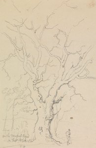 Op de Newport Road, 12 Februari 1826 door Capt. Thomas Hastings