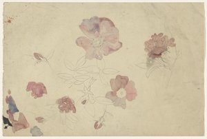 Bloemenstudies in paars en roze