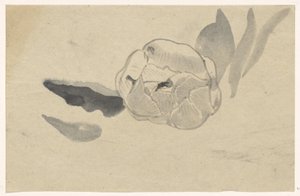 Bloemstudie