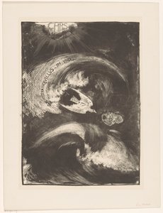 Duif in storm