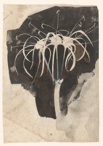 Studie van kamperfoelie door Carel Adolph Lion Cachet