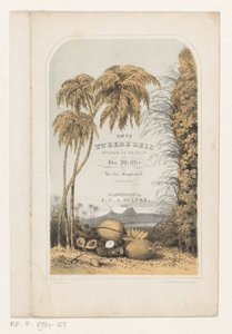 Tropisch Landschap