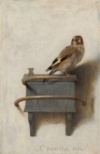 Arabisch:  De Goudvink