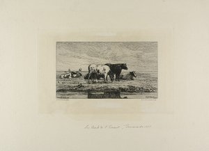 De bank van Escaut