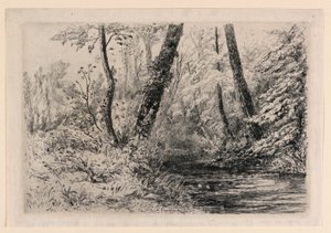 Souvenir van de Waterkersvelden in Veules door Carel Nicolaas Storm van 