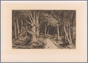 Bosrand met bospad door Carel Nicolaas Storm van 