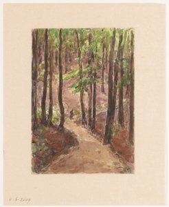 Bosweg door de heuvels te Baden-Baden door Carel Nicolaas Storm van 