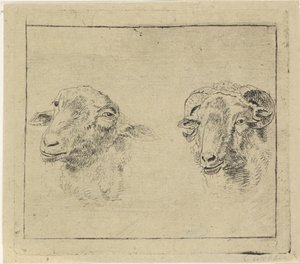 Kop van een ram en kop van een schaap door Carel Webbers