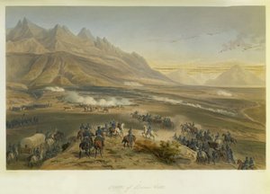 Slag bij Buena Vista