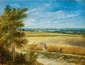 De Donau met de oude Reichsbrücke door Carl Agricola