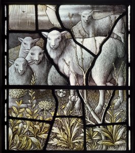 De Herderskerk, Herderij, Schapen