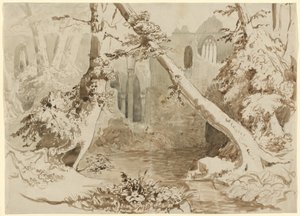 Een verwoeste kerk in het bos