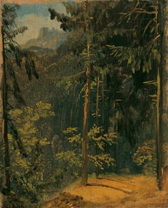 Bosweg in de Harz door Carl Blechen