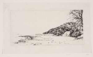 De klif bij de zee