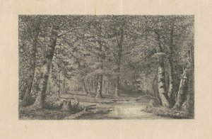 Beukenbos door Carl C. Brenner