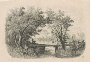 Wilgen