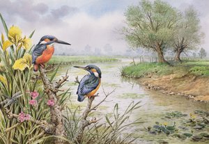 IJsvogels aan de Rivieroever