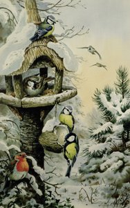 Winter Voedertafel met Pimpelmezen, Koolmezen, Huismussen en een Roodborstje