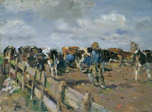 De koeien melken