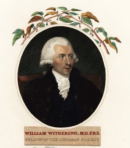 Portret van William Withering, arts en botanicus door Carl Frederik van (after) Breda