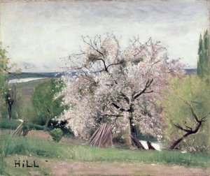 Fruitboom in Bloei, Bois-le-Roi