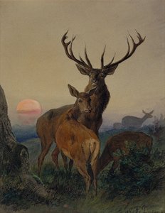 Een Hert met een Ree in een Bebost Landschap bij Zonsondergang door Carl Friedrich Deiker