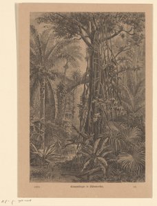 Bosgezicht door Carl Gottlob Specht