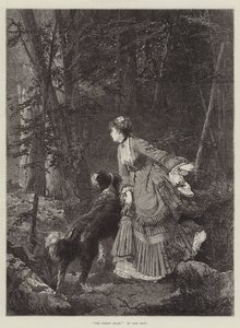 De bosglade